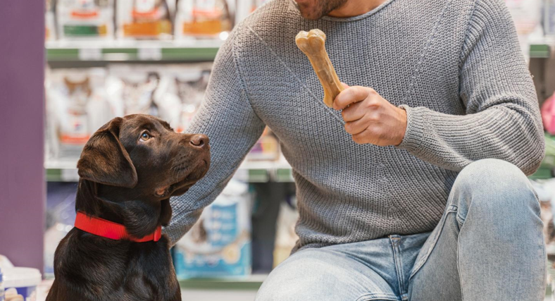 Bully Sticks for Large Dogs: What to Consider Before Buying